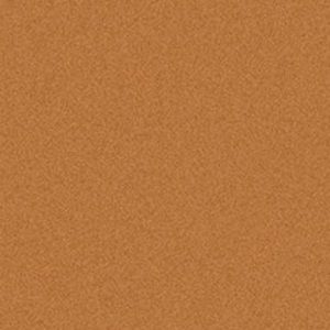 Meet your Posher, Zoey